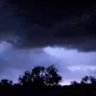 Фото профиля StormScoutAnna