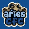 AriesCFC ♈️ 的头像