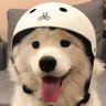 ✨ ไข่ต้มตากม 🐶💘 的头像