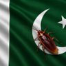 Pakistani Cockroach 的头像