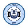 Fondo Sur CF 的头像