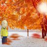 Yuvbinsa profil fotoğrafı