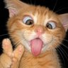 Abi's profile picture