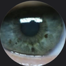 david powell's profile picture