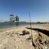 Фото профиля Adam Sharqawy