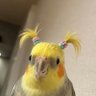 Profilbild von Lnly