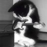 嘻嘻 profil fotoğrafı