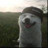 DAVE 🐂🀄️ profil fotoğrafı