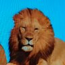 Fellian Lumba's profile picture