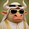 Profilbild von Ameer