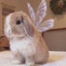 kira profil fotoğrafı