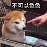 PBJJJ 的头像