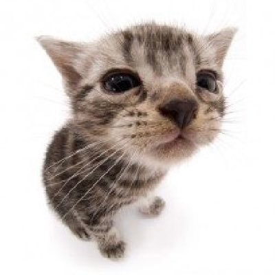 natalie's profile picture
