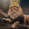 Profilbild von MASOOD QURESHI 🐅🇵🇰
