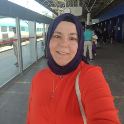 arslangillerden's profile picture