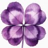 白梅香 profil fotoğrafı