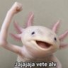 Antonio's profile picture