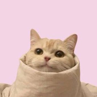tefie-nya Lyn's profile picture