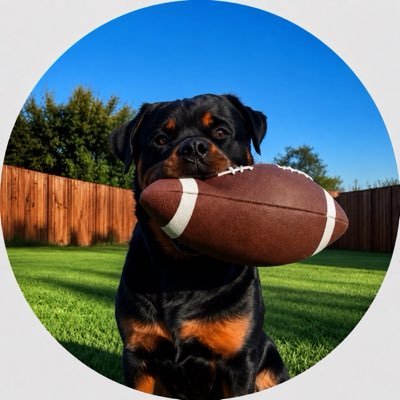Dog_FF's profile picture