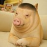 Фото профиля Silly Yellow Dog