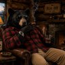 Фото профиля Bear Weatherby