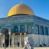 Фото профиля Eman ELHossen