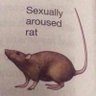 Profilbild von 🎪✨CircusRat✨🐀🔞