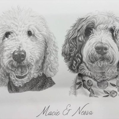 Nessa🌈🐾 + Macie Doodle 🌈🐾🇨🇦's profile picture