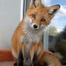 Paul Skinner's profile picture