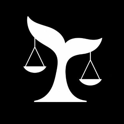 whalebench's profile picture