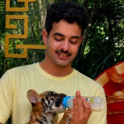 Wallface's profile picture