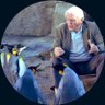 نور profil fotoğrafı
