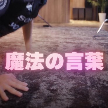 sokukibako's profile picture