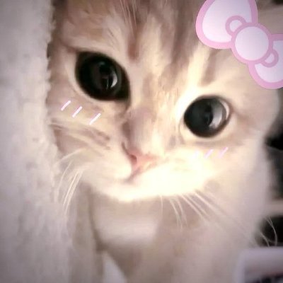 VitaLeblond's profile picture
