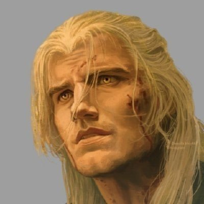 𝗚𝗲𝗿𝗮𝗹𝘁 of North's profile picture