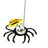 Profilbild von Web ster