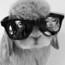 hating on ari=external hellfire☸️ 💤's profile picture