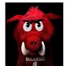 woopig profil fotoğrafı