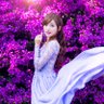 metella etta 的头像