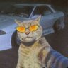 Jarret's profile picture