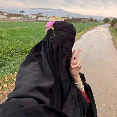 Meher Gul's profile picture