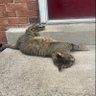 Aidan profil fotoğrafı
