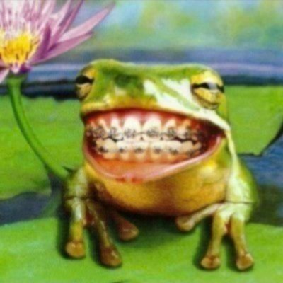 bobonilson's profile picture