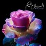 Dr M khan's profile picture