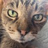 Ghost's profile picture