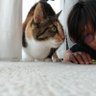 shizukoð¶ð€(sakuraïŒ's profile picture