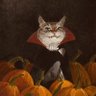 vukowav's profile picture