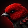 Red & Black ♥️ 🖤's profile picture