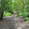 Danny Isportscast profil fotoğrafı