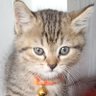 Profilbild von Tina